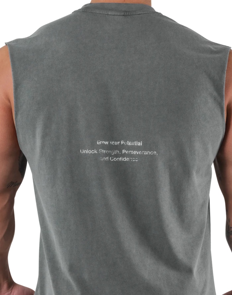LYFT-camisetas sin mangas de a - Tank Top Muscle reseña y precio