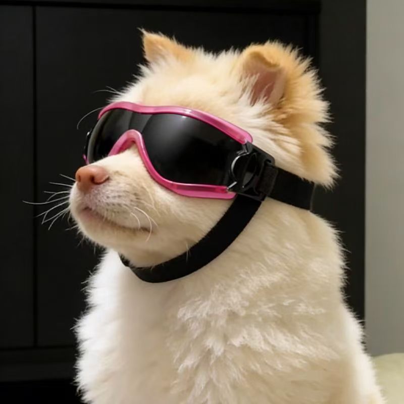 Gafas Protectoras para Perros  - Sunglass Retainer Cord reseña y precio